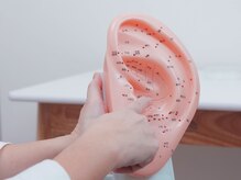 ふーみんの雰囲気（耳ツボを刺激して食欲減退・代謝アップ・ストレス緩和効果！）