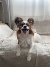 ひつじのゆめ&nbsp;つむぎ 