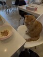 ディーネイルベイビー(DEE nail baby) 猫好きで、猫いる喫茶店行ってきました!