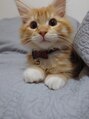 ケアハウス 戸塚(CARE HOUSE) 動物が大好きで、実家の猫に癒されています!