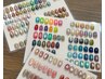 【本日限定！】ハンドorフット　マグネットジェルワンカラー(オフなし)