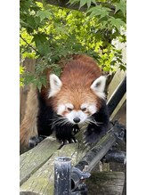 ユラリ(Yurari) 三浦