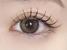 ネリネ 博多(nerine)/フラットラッシュ100本[博多駅]