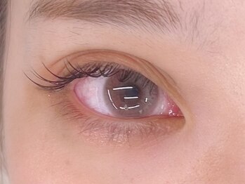 インザピンクリリー(in the pink LILY)/セーブル60本