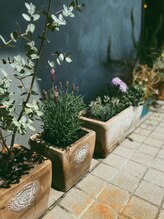 シュタットハイム(stadt heim)/頭皮を育む。