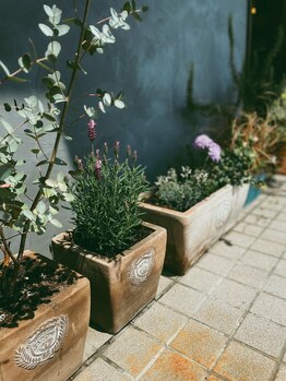 シュタットハイム(stadt heim)/頭皮を育む。