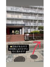 マリン アイ(Marine eye)/