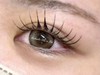 マハロクーレイ(Mahalo Ku’u Lei)の写真/[平野駅徒歩2分]LEDエクステのモチの良さとスピード技術が自慢◎通いやすいお値段！こだわりLEDまつエク♪