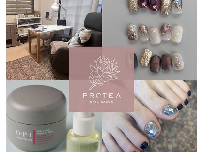 プロティア(PROTEA)の写真