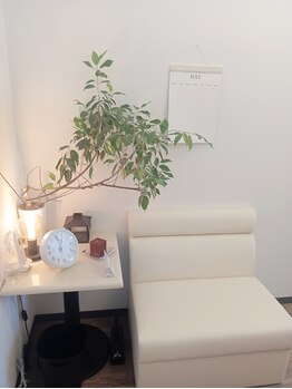 ネコダルマ/◎店内の様子