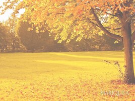 秋/夕焼け/秋ネイル/紅葉