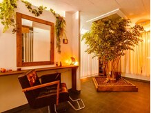 アクア(AQUA)/髪質改善