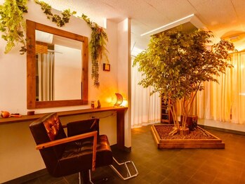 アクア(AQUA)/髪質改善