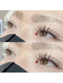 ソポ 七道店(sopo)/ダブルフラット　100束