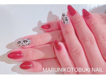 マルニ コトブキ(MARUNI KOTOBUKI)/シンプルコース