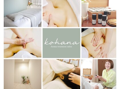 コハナ(kohana)の写真