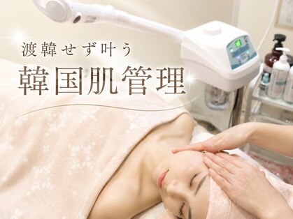 樹の写真