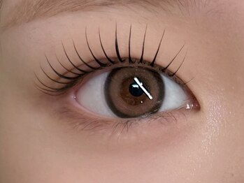 iroca.【10月上旬OPEN（予定）】の写真/驚きのキープ力】マツパもマツエクも高持続♪丁寧なカウンセリングで理想の美まつ毛を長くキープ！