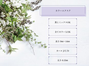 アイラッシュアンドネイルサロン クレアラルーチェ 防府店(Crea la Luce)/【カラーエクステ】