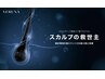 【国産オーガニックverunaハーブピーリング頭皮ケア】33,000円→16,500円