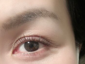 イーストアッカ アイラッシュ(East AkkA eyelash)/根元立ち上げカール