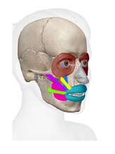 ラ ヴィ リッシュ(La vie riche)/ヤムナフェイスで口角UP!