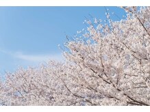 ひまわり整体院