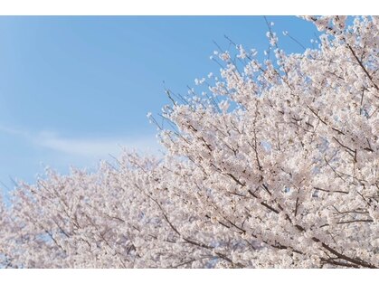 ひまわり整体院の写真