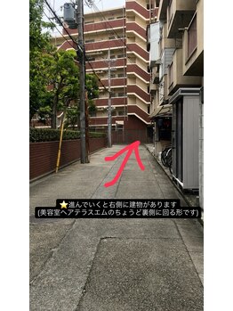 マリン アイ(Marine eye)/