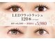 シクラプ 川越(sikrap)の写真