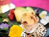 【遠方の方限定】お好きなメニュー1,000円オフ
