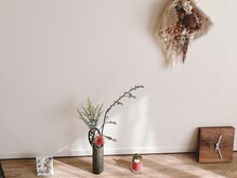 ベルード(veludo)/