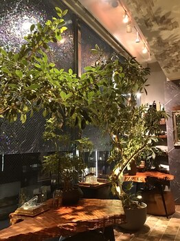 マジョルネ(Ma journee)/