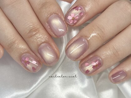 シエル(ciel)の写真