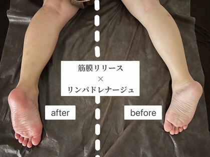 ポノ(Pono)の写真