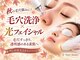 スターズ(Stars)の写真