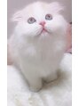 プリティ(Pretty) 佳 奈