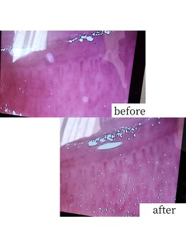 アップルミント/