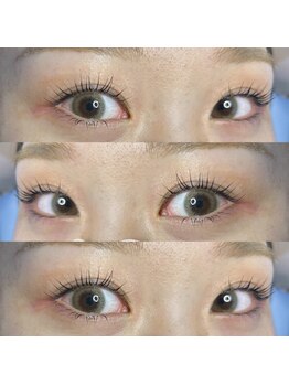 ジョリー(Jolie)/