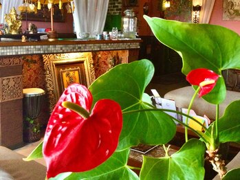 アジアンリラクゼーション ヴィラ 二子玉川店(asian relaxatin villa)/目からも元気になります