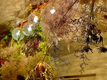 ルポ 札幌円山店(repos)/店内