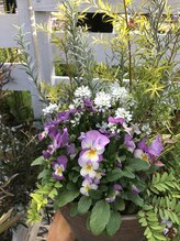 スターフォート(Star fort)&nbsp;オーナー 小田