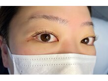 ジョリー(Jolie)/