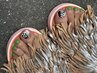 【FOOT】親指2本アート＋ワンカラー、塗りかけ◆8,500yen
