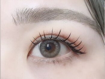 ペルシャ(Persian)/フラットラッシュ（担当/RISA）