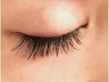 シッポ(Sippo)/目尻長めデザイン