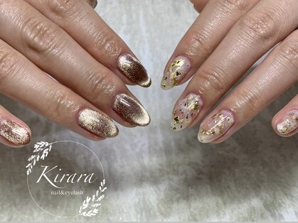 キララ(Kirara)の写真