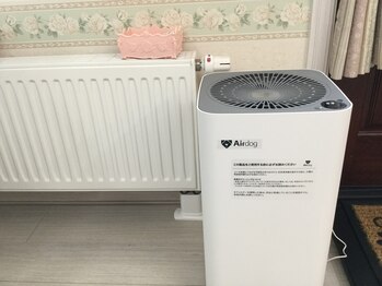 フラワー(FLOWER)/Air dogを使用してます。