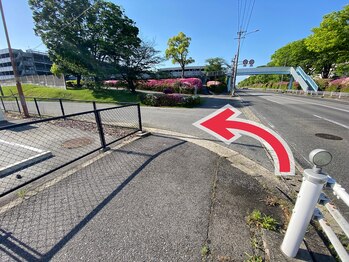 ディーベアー(D.bear)/道案内