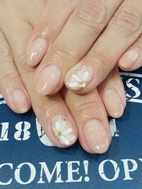 TERRACE Design Collection